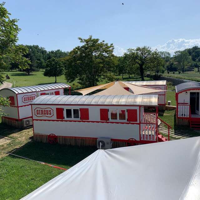 Circus