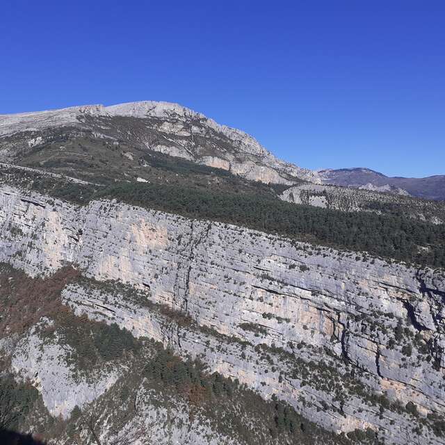 Les vautours de la rive gauche