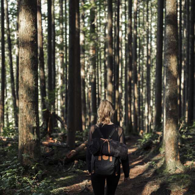 Sortie énergétique en forêt