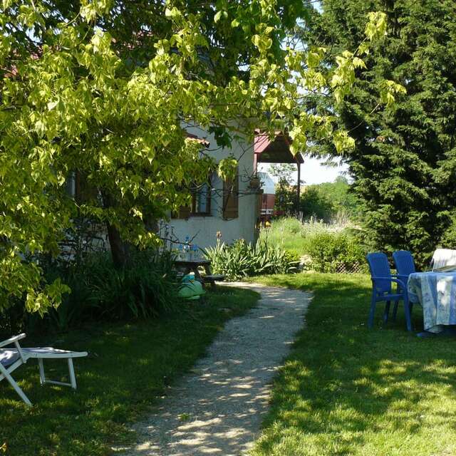 Les cèdres des collines