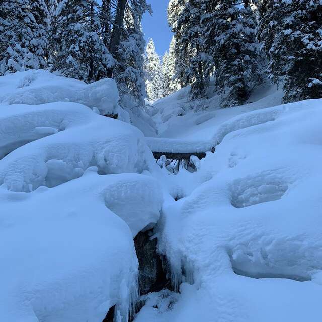 Les cascades de glaces, sur les traces du loup