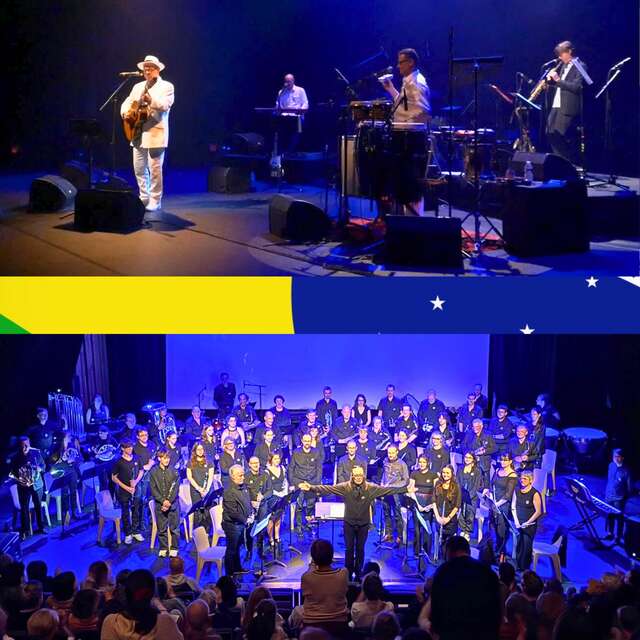 Juntos e misturados ! Musique brésilienne