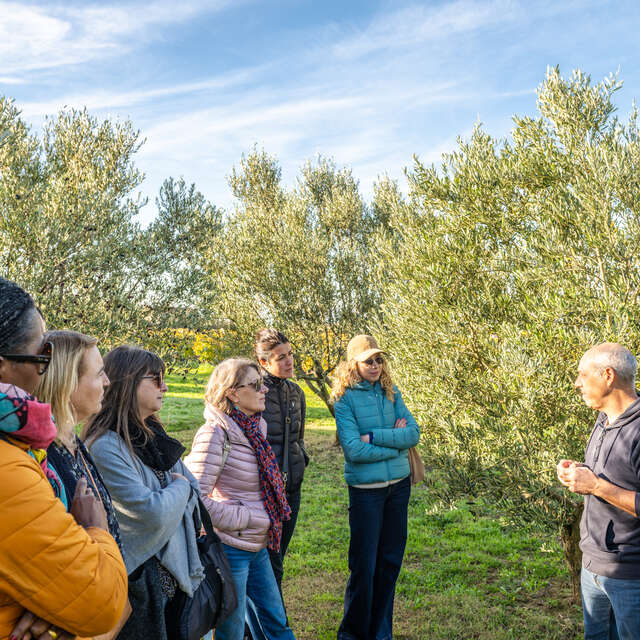 Dégustation d'huile d'olive à la boutique "Les 3 Souquets"