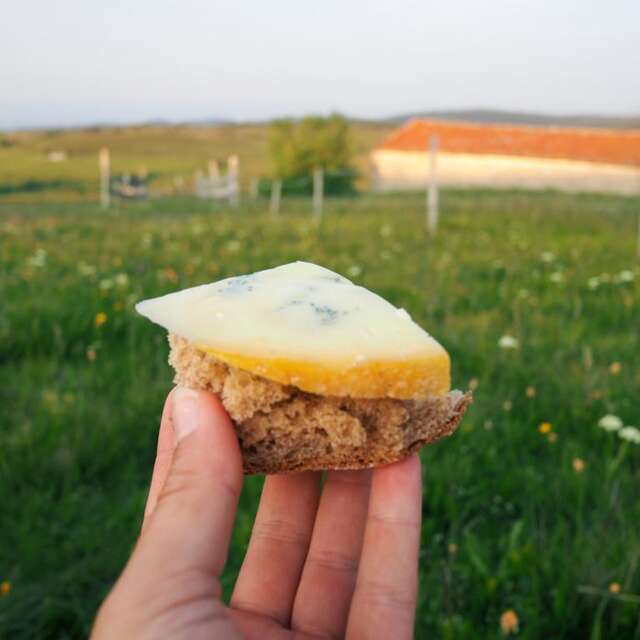 Animations "fromage et paysage"