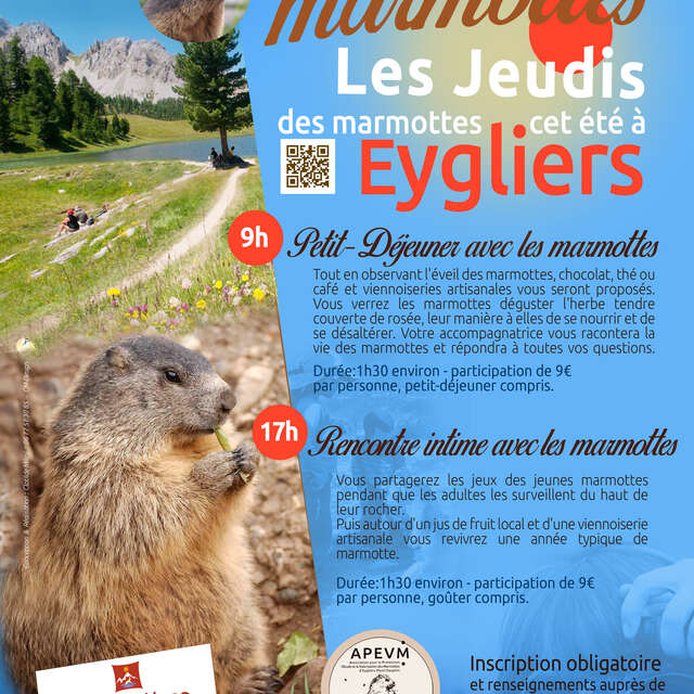 Discovering marmots: breakfast with the marmots