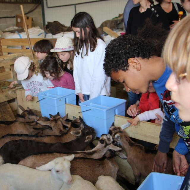 Visite de la bergerie
