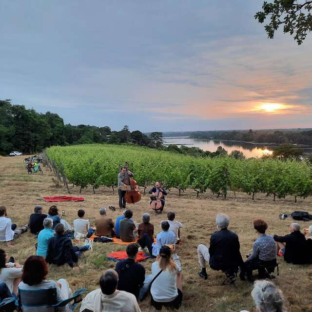 Musique dans les vignes