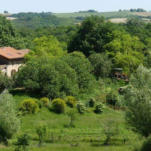 Les trois chardons