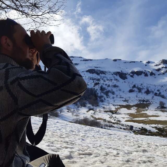 Marcher sur la piste du chat forestier au Pic Pelé