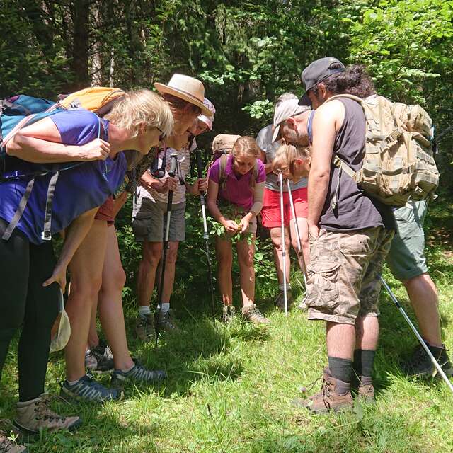 Véronique Riondy, accompagnatrice en montagne