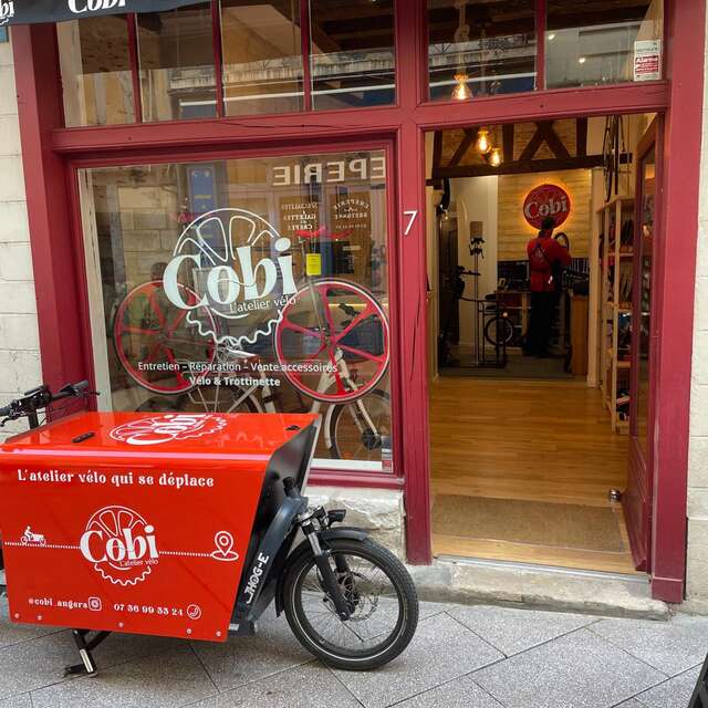 COBI - Taller de reparación a domicilio de bicicletas y scooters