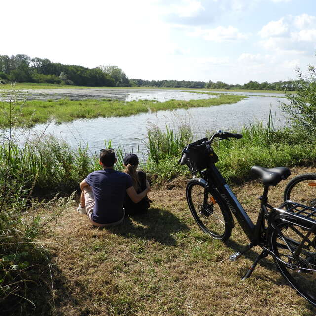 Les locations des Dombes