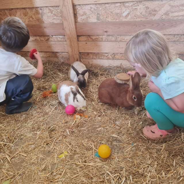 Atelier petit fermier à La ferme du Champ Rouge