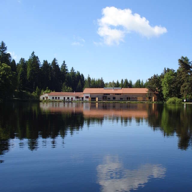 Chambre d'hôtes - La Maison du Lac