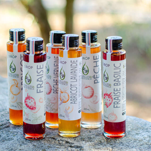 Papilles & Provence