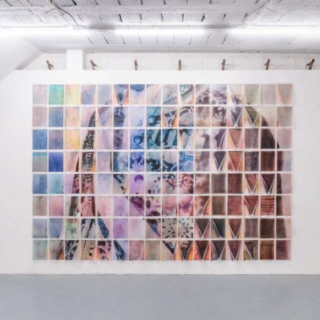 The Shameful Chrysanthemum II