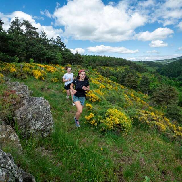 T14 - Les hauts du Monastier