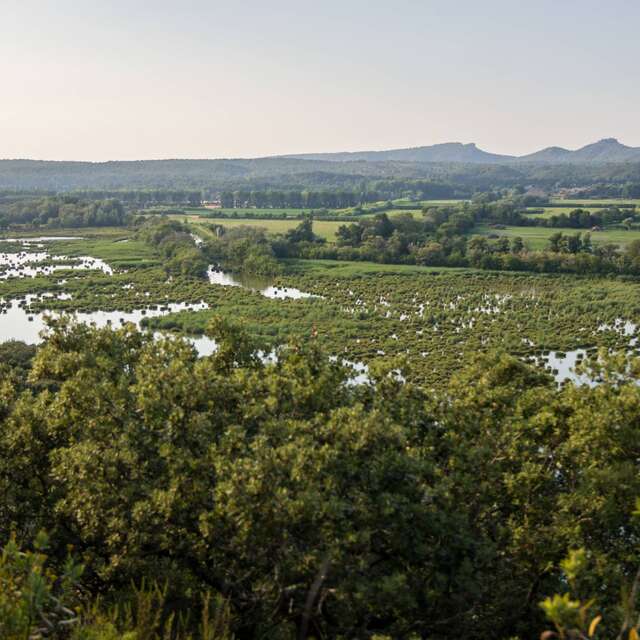 FONTVIELLE - Des Alpilles à la Camargue à vélo