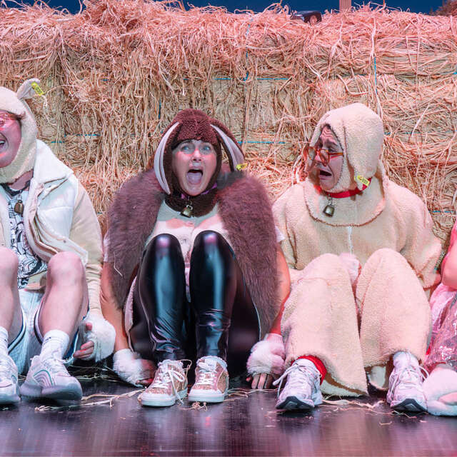 Théâtre : "Foutue Bergerie" - Pierre Guillois