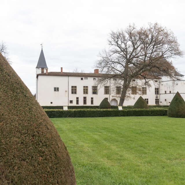 Rendez-vous aux jardins - Rencontre avec le jardinier - D'un buis à l'autre : conversation entre lames et feuillages