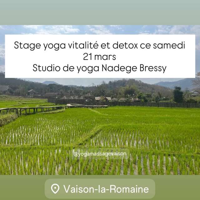 Yoga vitality and detox - Nadège Bressy