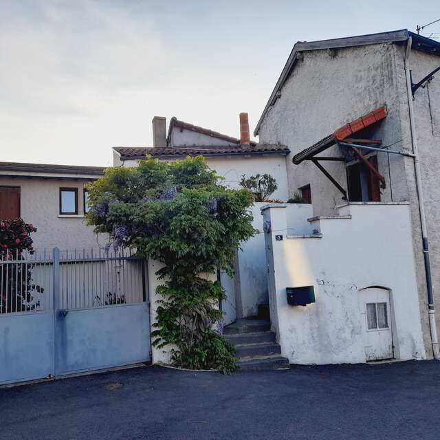 La Maison au Camélia