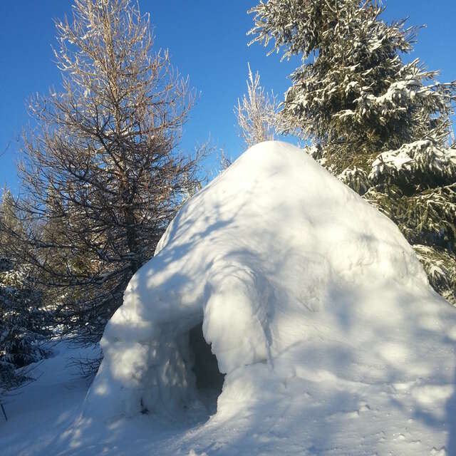 Construction d'igloo