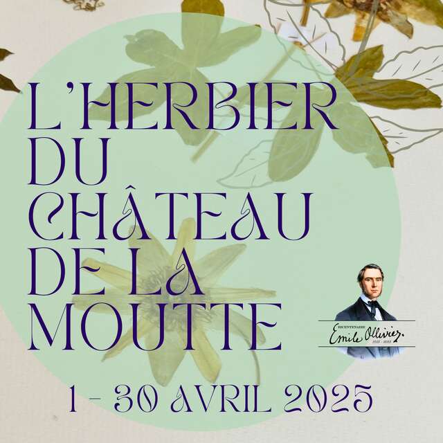 Sonderausstellung: Das Herbarium des Château de la Moutte
