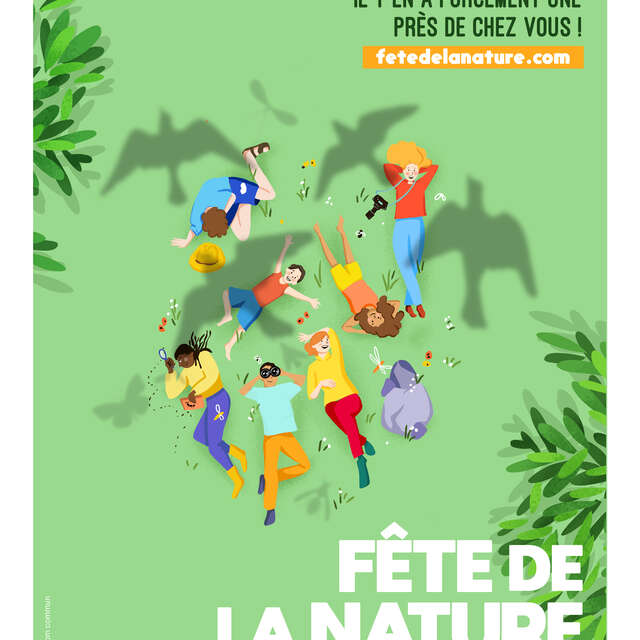 Fête de la nature : Soirée chiroptère au Glaizil