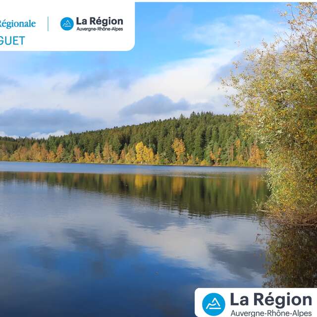 Balade "tissons des liens avec les araignées"