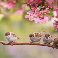 Atelier bien-être de l'été