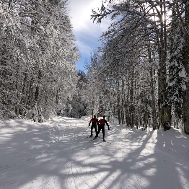 Ski nordique sur le Site de Lachat