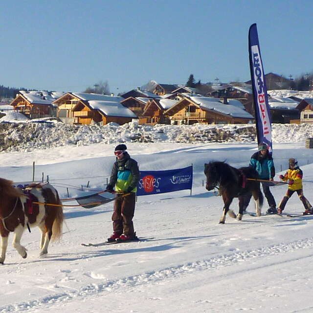 Ski joëring school