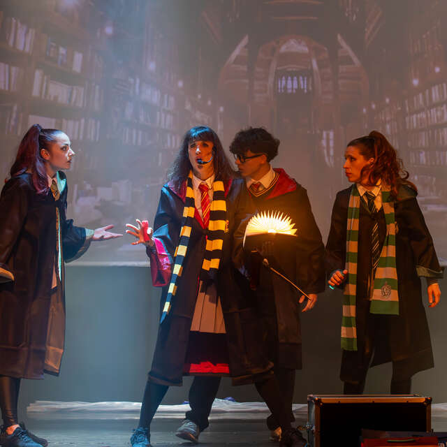 COMPLET - Spectacle de Noël "L'apprenti sorcier & les éléments magiques"