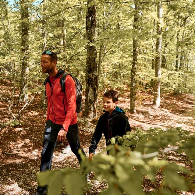 ST-LEGER-DU-VENTOUX - Sentier botanique de soleil et d'eau