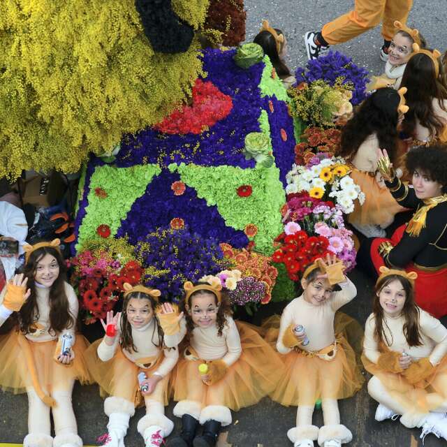 Fête du Mimosa à Sainte-Maxime