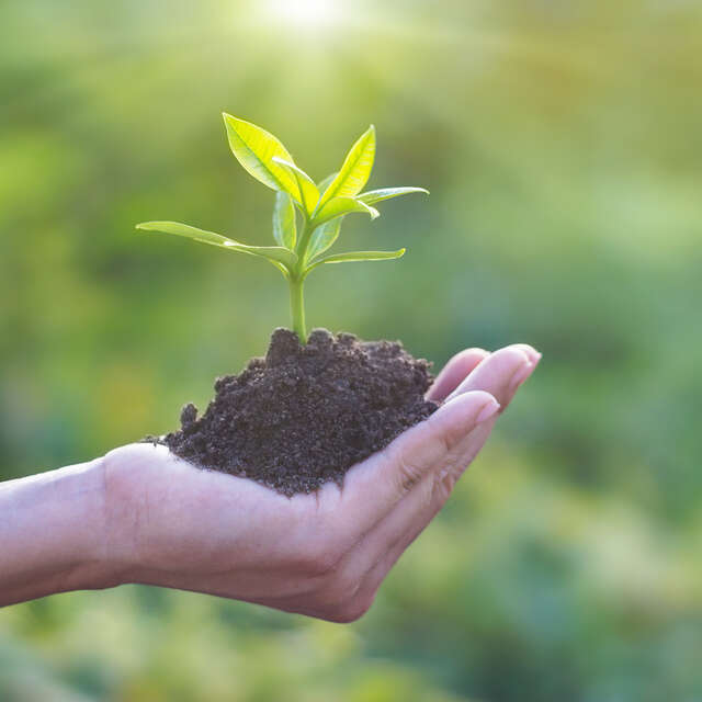 Atelier Nature - Land Art & empreintes