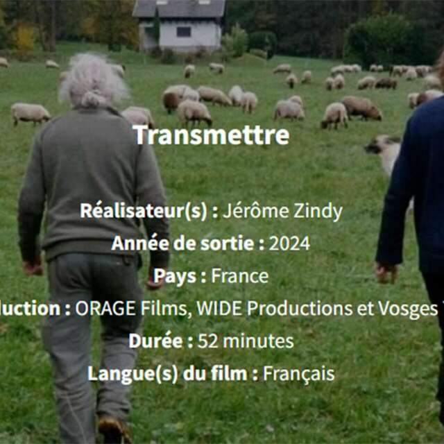 Soirée ciné-débat