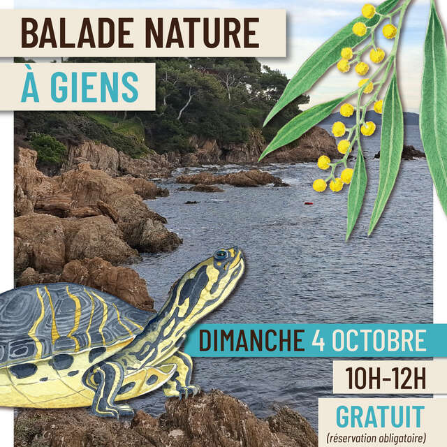Balade nature à Giens - Faune et flore d'ici... et d'ailleurs