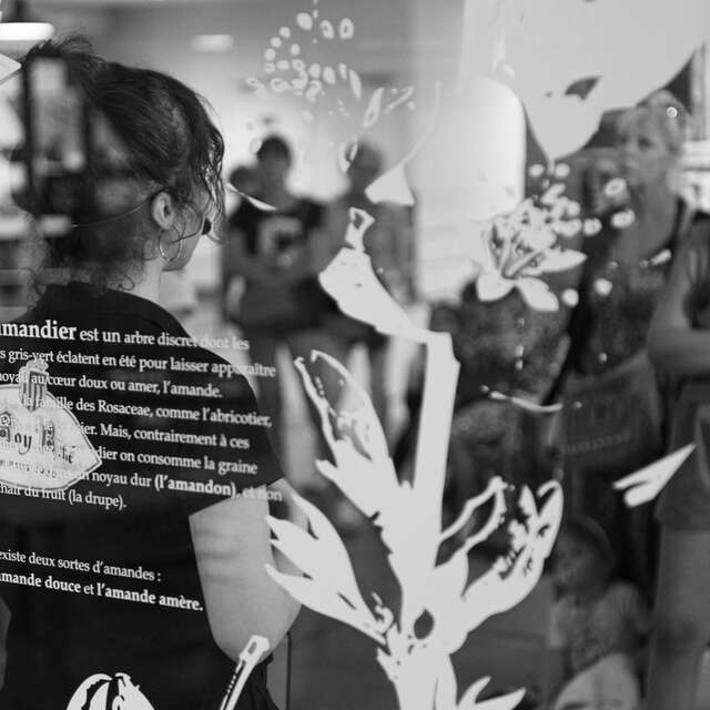 Musée du Calisson gourmet guided tour and tasting