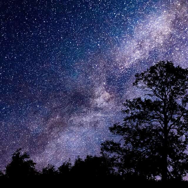 Nuit des étoiles