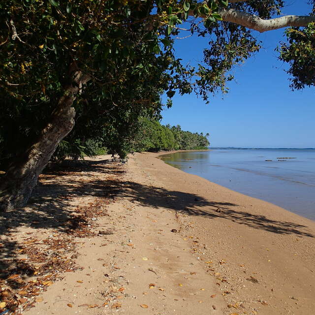 Plage du camping "Pierre ATTI"
