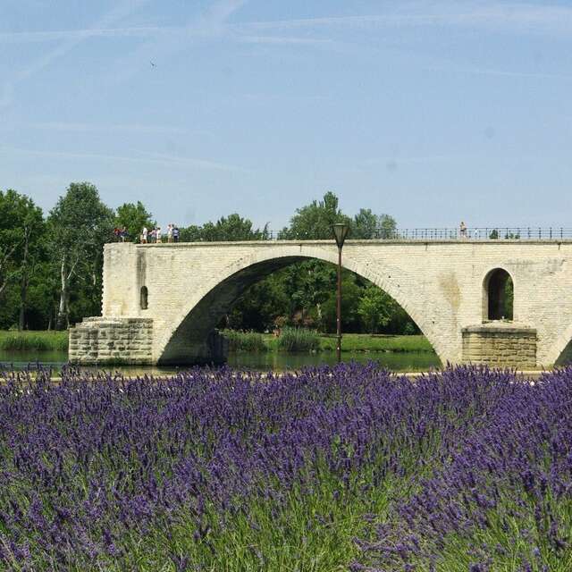 Avignon Bridge - Pont Saint Benezet