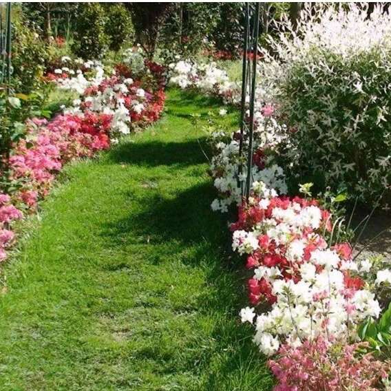 JEP 2025 : Parc Floral des Camellias