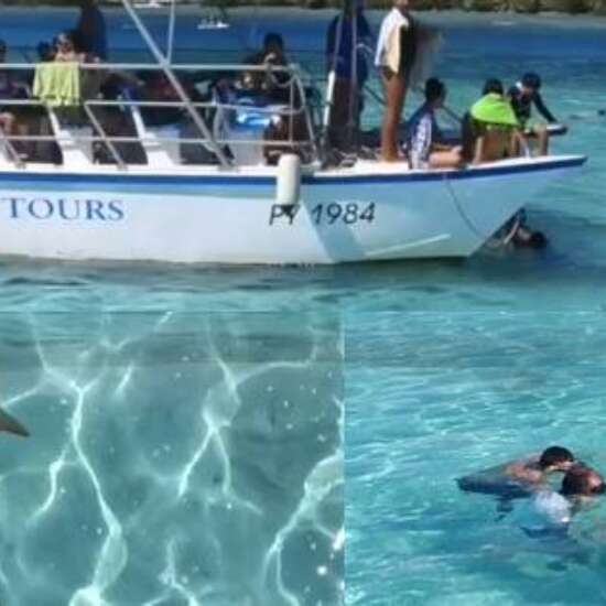 Albert Tours