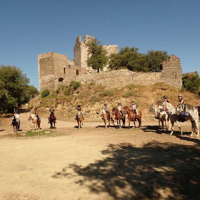 Les Chevaux du Cantaure