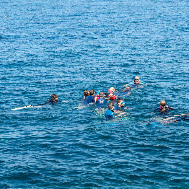 Posidonia - Randonnée subaquatique - palmes, masque, tuba