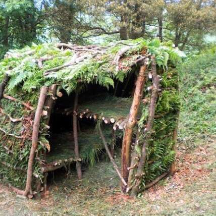 Construis ta cabane
