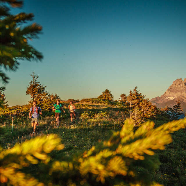 Trail circuit 46 bleu - Petite boucle des chalets de Chosalet