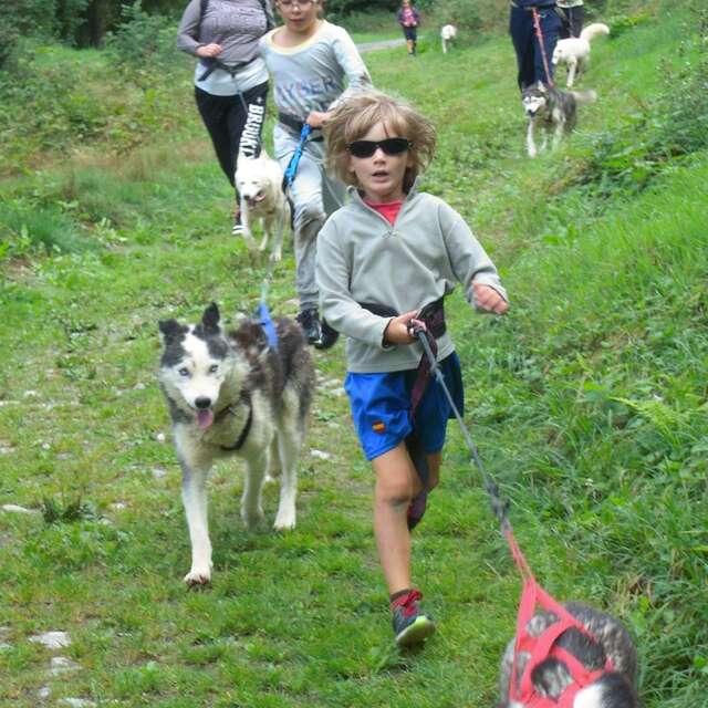Husky mon Copain